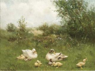 Constant Artz - Ducks in the dunes