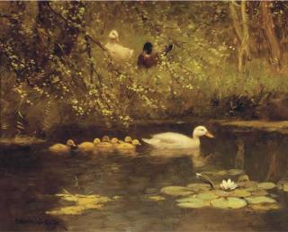 Constant Artz - First swim