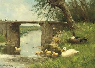 Constant Artz - The first swim