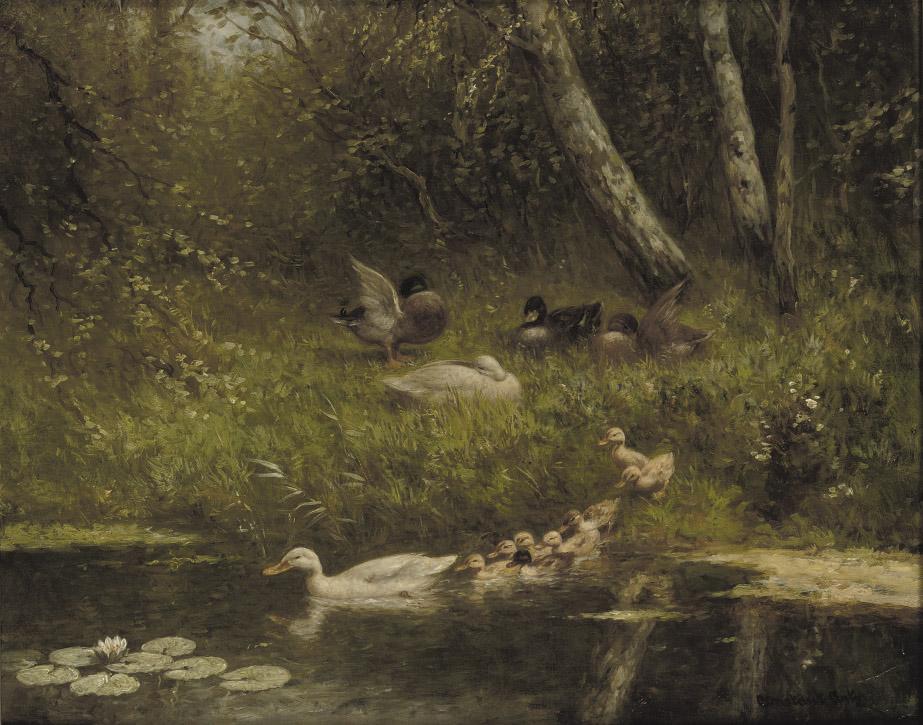 Constant Artz - The first swim