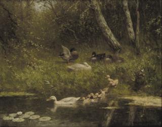 Constant Artz - The first swim