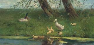 Constant David Ludovic Artz - Ducks and ducklings on a river bank