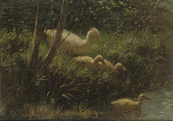 Constant David Ludovic Artz - Learning To Swim