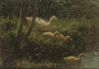 Constant David Ludovic Artz - Learning To Swim