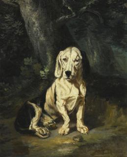 Constant Troyon - French a Seated Basset Hound (Un Basset Artésian Normand, Assis)