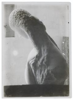 Constantin Brâncuși - Femme se regardant dans un miroir, 1909