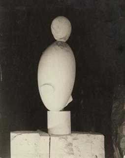 Constantin Brancusi - La Négresse blanche de trois-quart vue de nuit, 1923