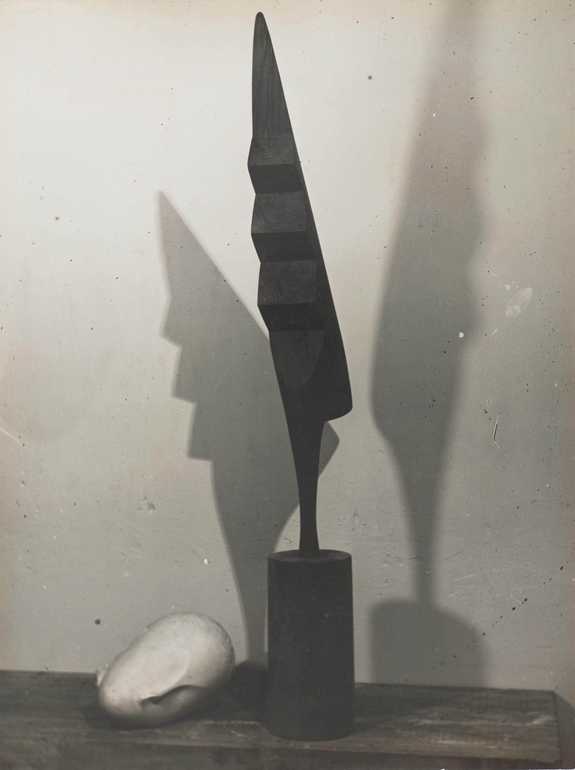 Constantin Brancusi - Le Coq, La Muse Endormie, 1924