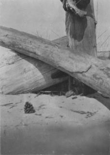 Constantin Brancusi - Le Temple du Crocodile