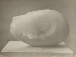 Constantin Brancusi - Sleeping Muse, Vers 1910