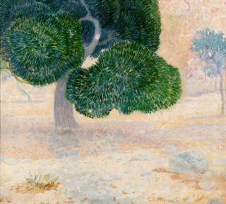 Constantinos Parthenis - Pin