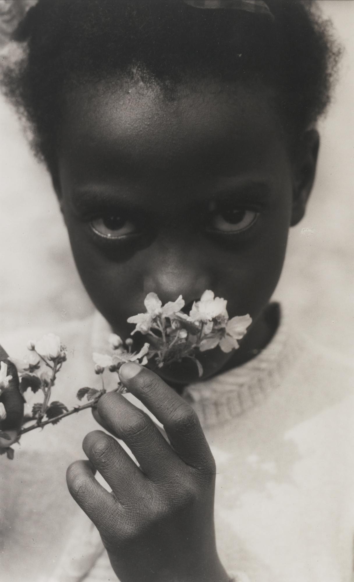 Consuelo Kanaga - Black Child And Apple Blossom, Tennessee