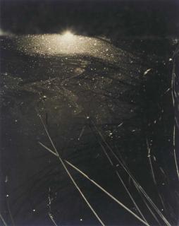 Consuelo Kanaga - Into The Pond, Circa 1948; And Untitled (Tree Trunk), Circa 1955