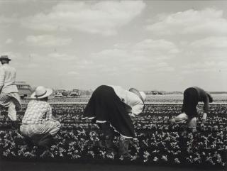 Consuelo Kanaga - Untitled, c. 1940