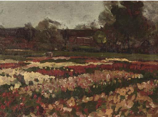 Cor Noltee - A bulbfield in bloom