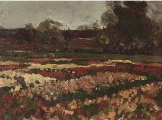 Cor Noltee - A bulbfield in bloom