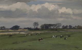 Cor Noltee - Grazing cows