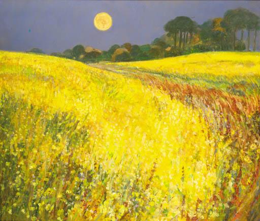 Cor Van Loenen - Bloeiend Koolzaad Bij Volle Maan