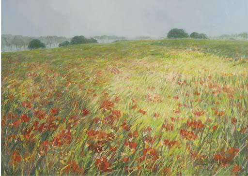 Cor Van Loenen - Poppy field