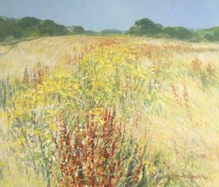 Cor Van Loenen - Wilde Flora