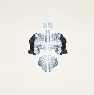 Cornelia Parker, R.A. - Poison And Antidote Drawing 