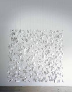 Cornelia Parker - A Side Of England