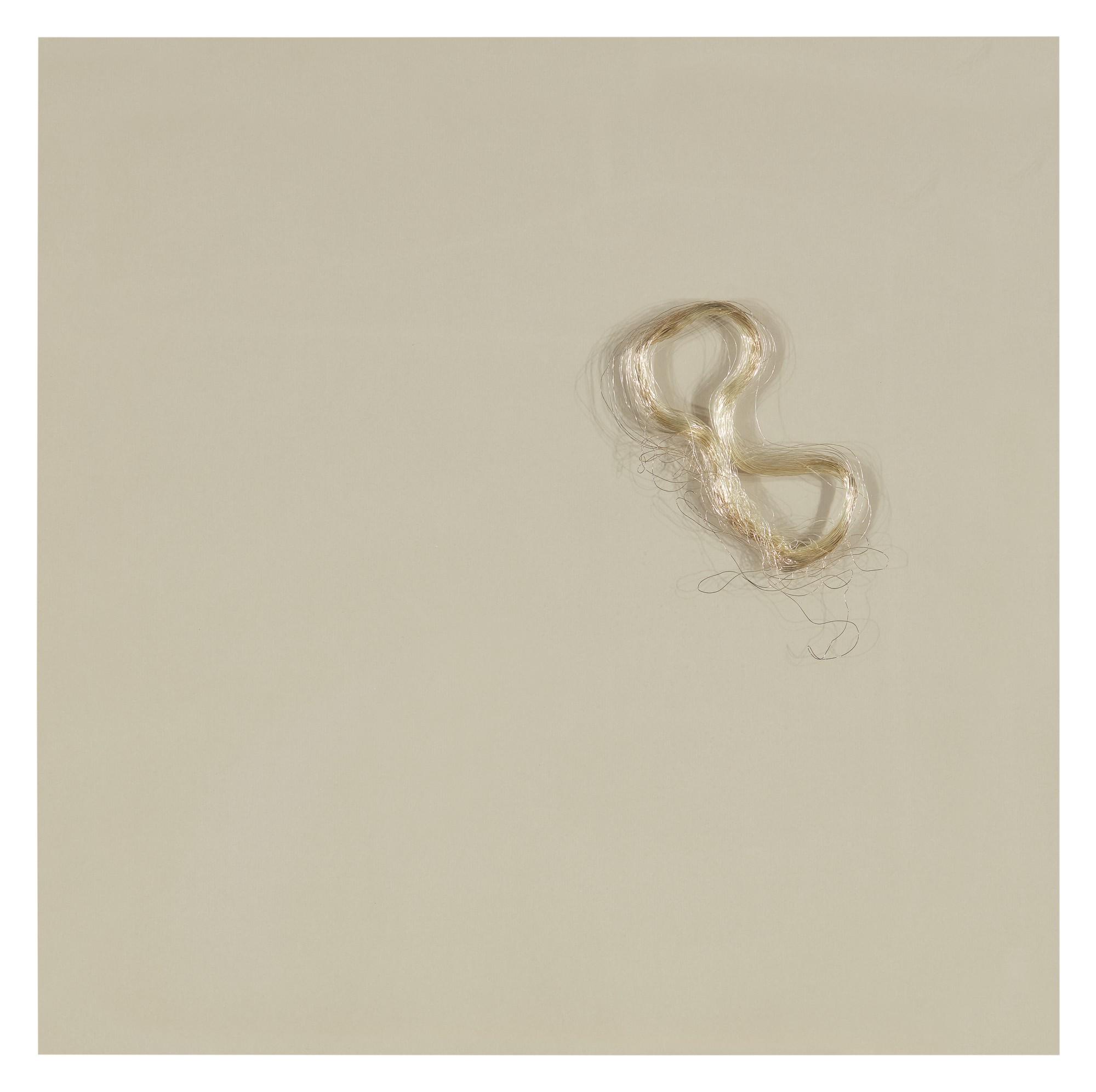 Cornelia Parker - Measuring Liberty With A Dollar