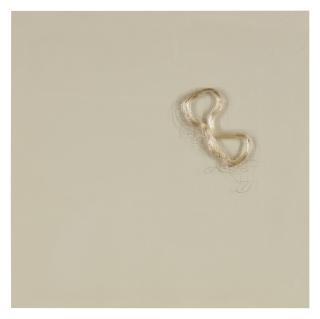 Cornelia Parker - Measuring Liberty With A Dollar