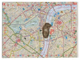 Cornelia Parker - Meteorite Lands on the Houses of Parliament