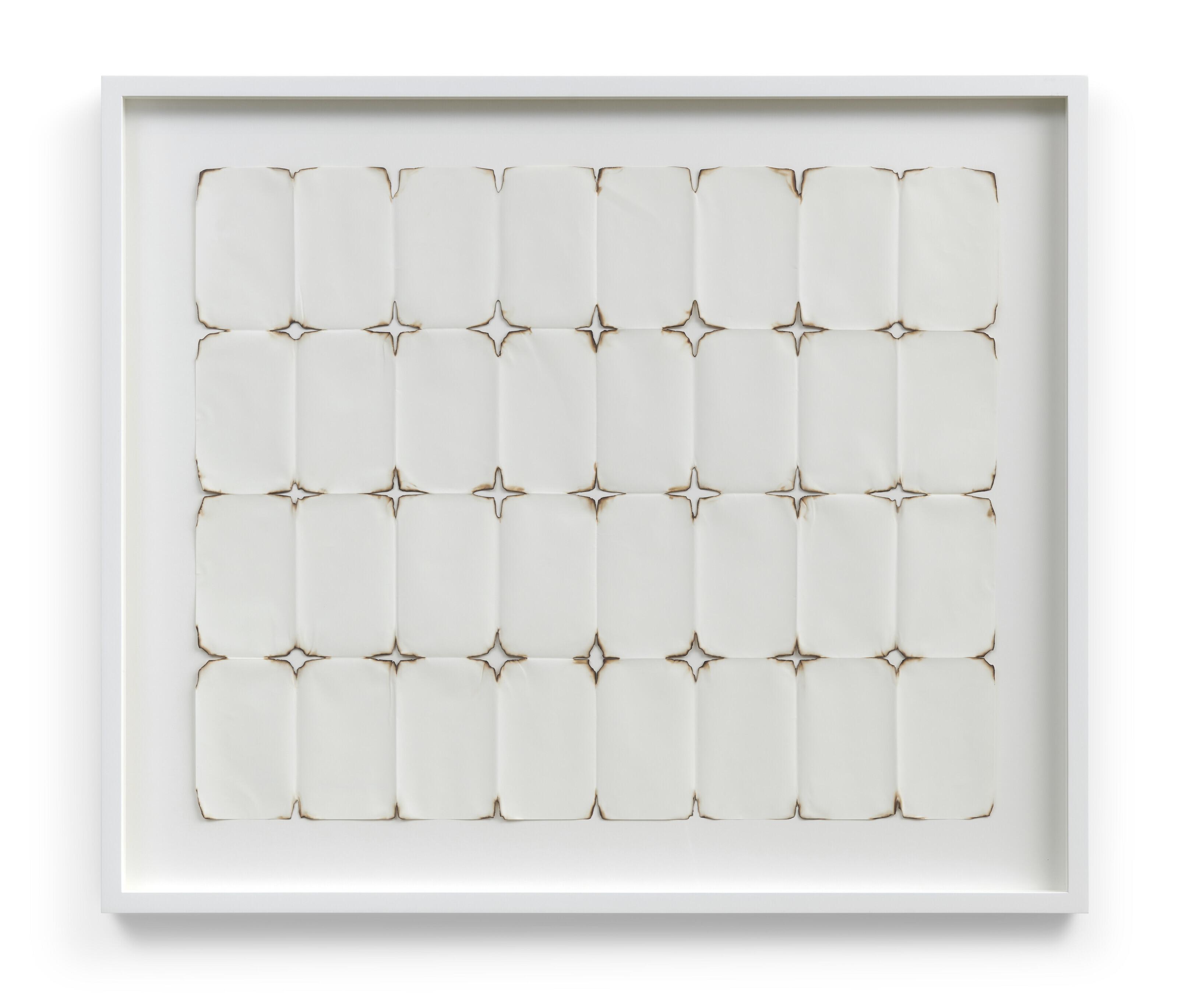 Cornelia Parker - Red Hot Poker Drawing