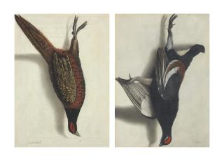 Cornelis Biltius - A Trompe L\'Oeil Of A Hanging Pheasant; And A Trompe L\'Oeil Of A Hanging Black Grouse