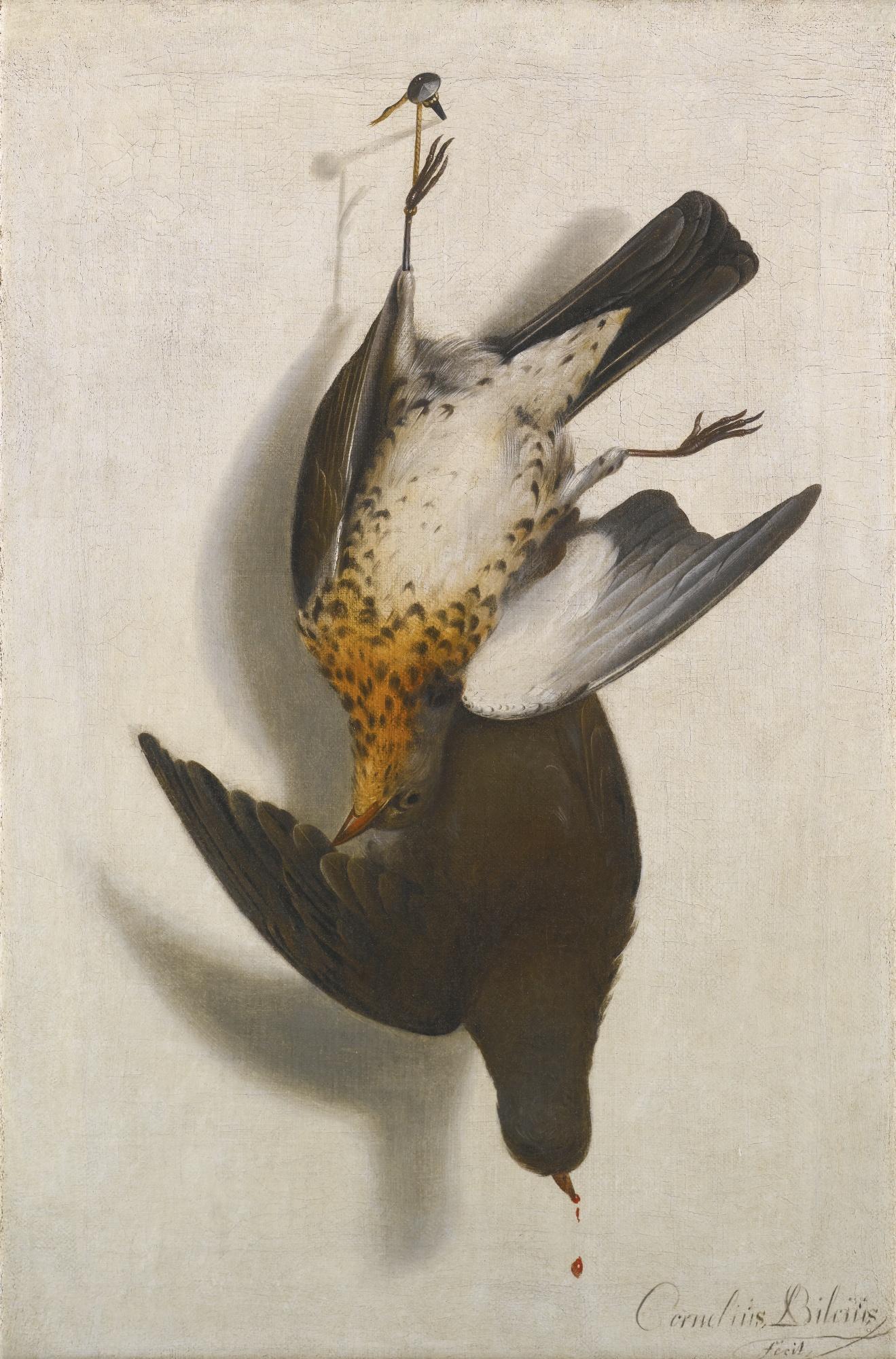 Cornelis Biltius - A Trompe L\'Œil Still Life With Two Grouse Hanging From A Nail