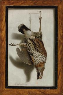 Cornelis Biltius - A trompe l\'oeil with a grouse hanging from a nail