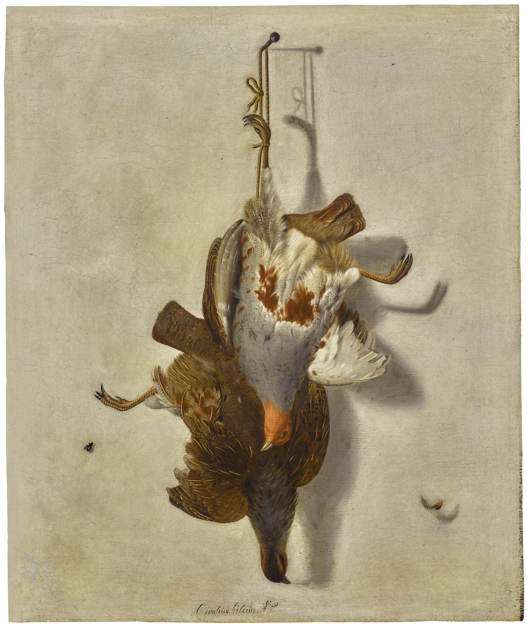 Cornelis Biltius - Trompe L’Œil With A Brace Of English Partridge Hanging Before A Wall