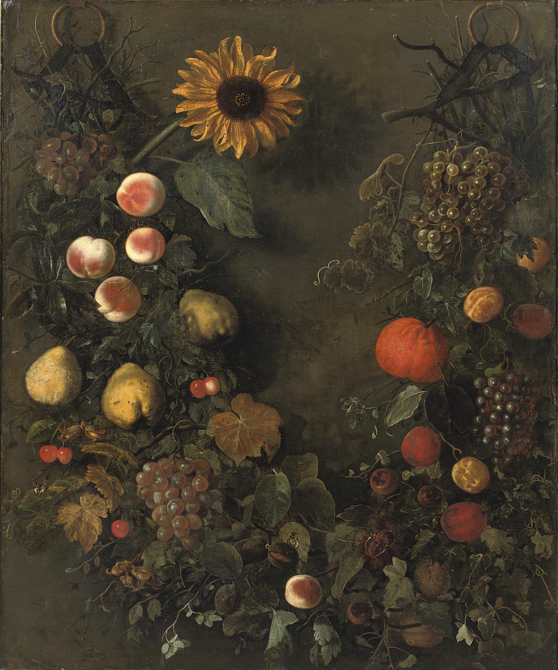 Cornelis Kick - A fruit garland with grapes, peaches, mandarins, cherries, pears and other fruit, with butterflies and a sunflower
