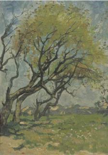 Cornelis Kuypers - Trees in spring