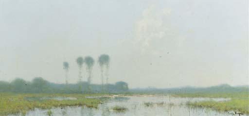 Cornelis Kuypers - Wetlands