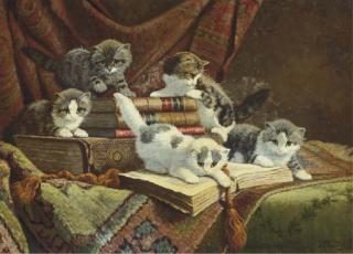 Cornelis Raaphorst - A love of literature