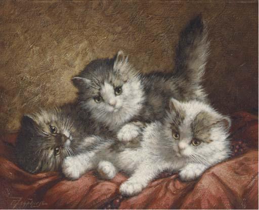 Cornelis Raaphorst - Cute kittens