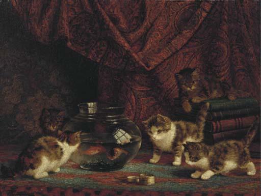 Cornelis Raaphorst - Fascinated by fish