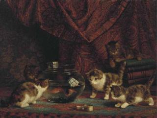 Cornelis Raaphorst - Fascinated by fish