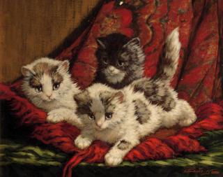 Cornelis Raaphorst - Play companions