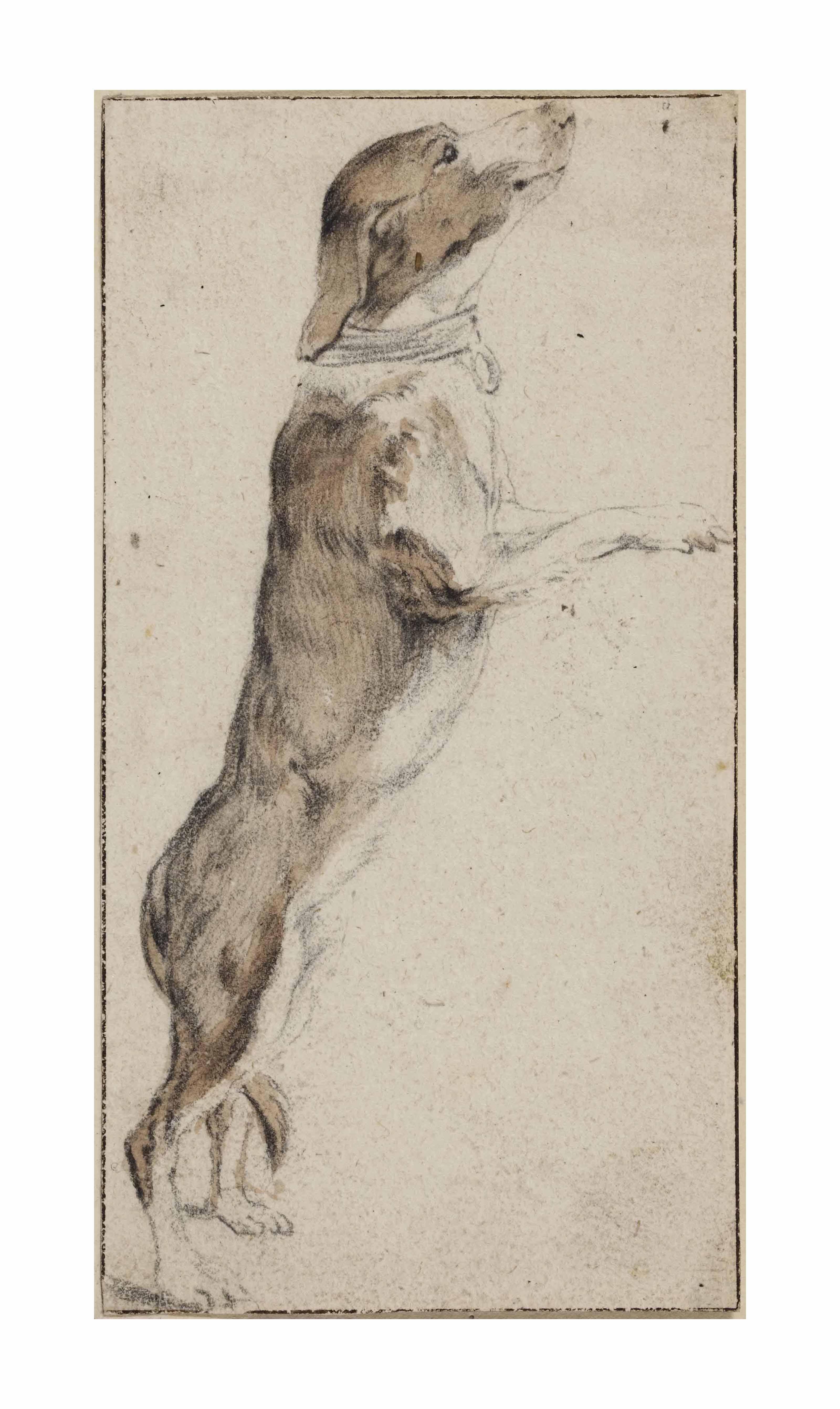 Cornelis Saftleven - A dog begging