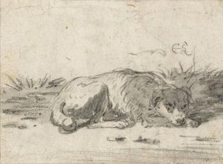 Cornelis Saftleven - A sleeping dog