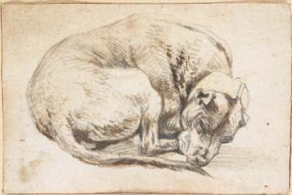 Cornelis Saftleven - A sleeping dog