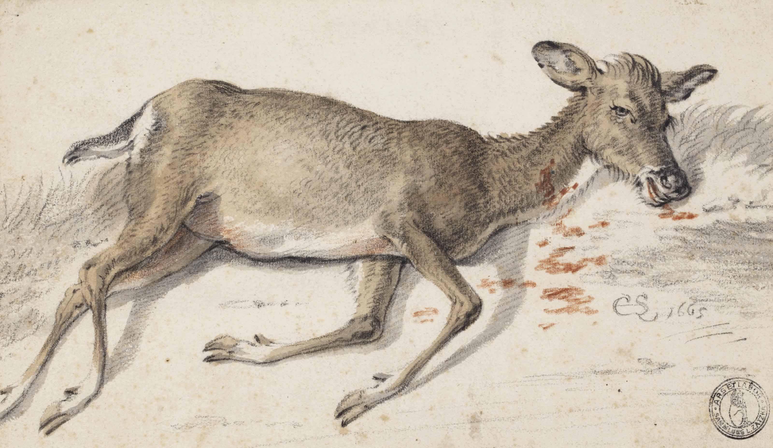 Cornelis Saftleven - A wounded doe