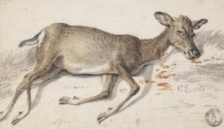 Cornelis Saftleven - A wounded doe