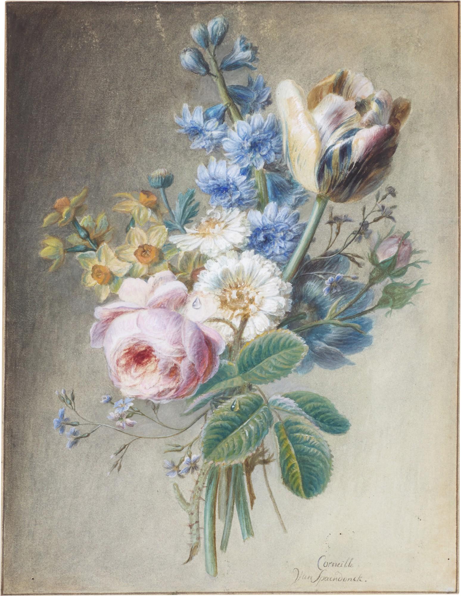 Cornelis van Spaendonck - A bouquet of flowers, including a rose and tulip