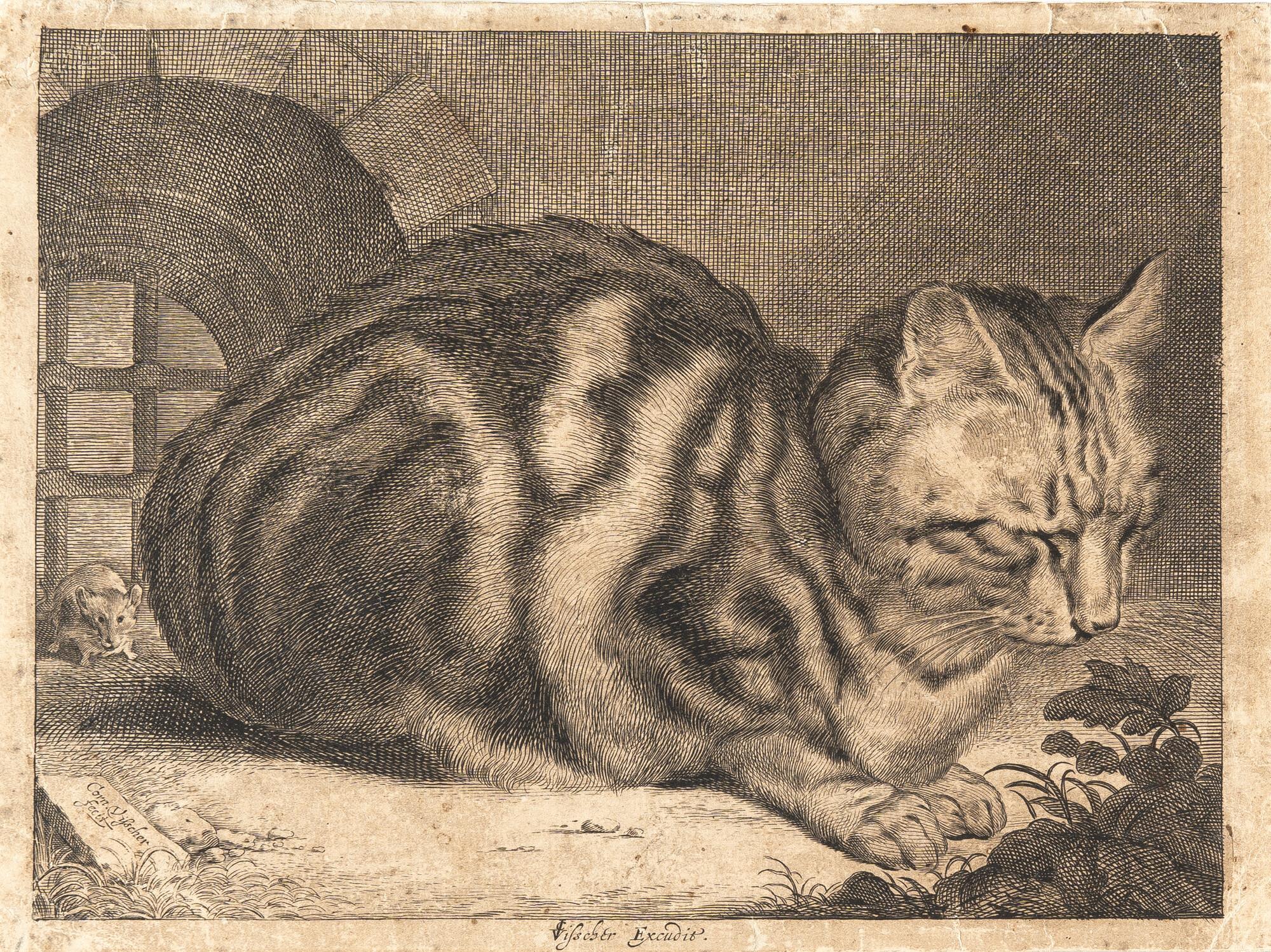 Cornelis Visscher - Die große Katze, mit einer Maus zur Linken
