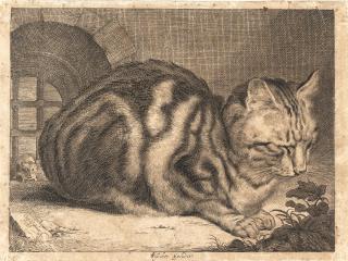 Cornelis Visscher - Die große Katze, mit einer Maus zur Linken